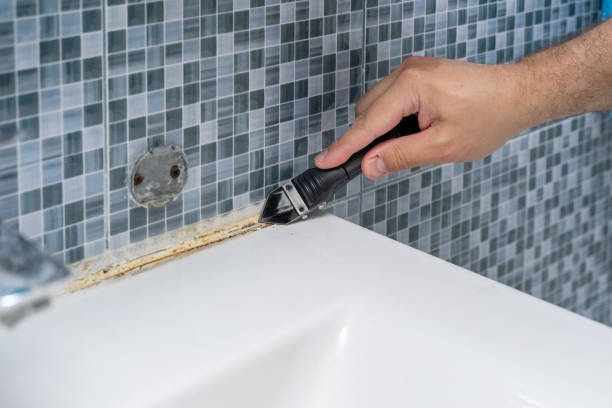 Best Localized Mold Remediation (e.g., coastal areas, humid climates) in Canton, GA