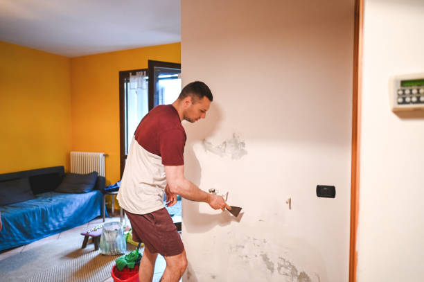Best Basement Mold Remediation in Canton, GA